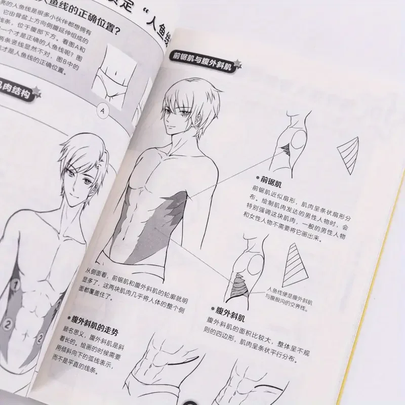 Techniques de dessin animé : Proportions structurelles - Guide pour débutant, version chinoise