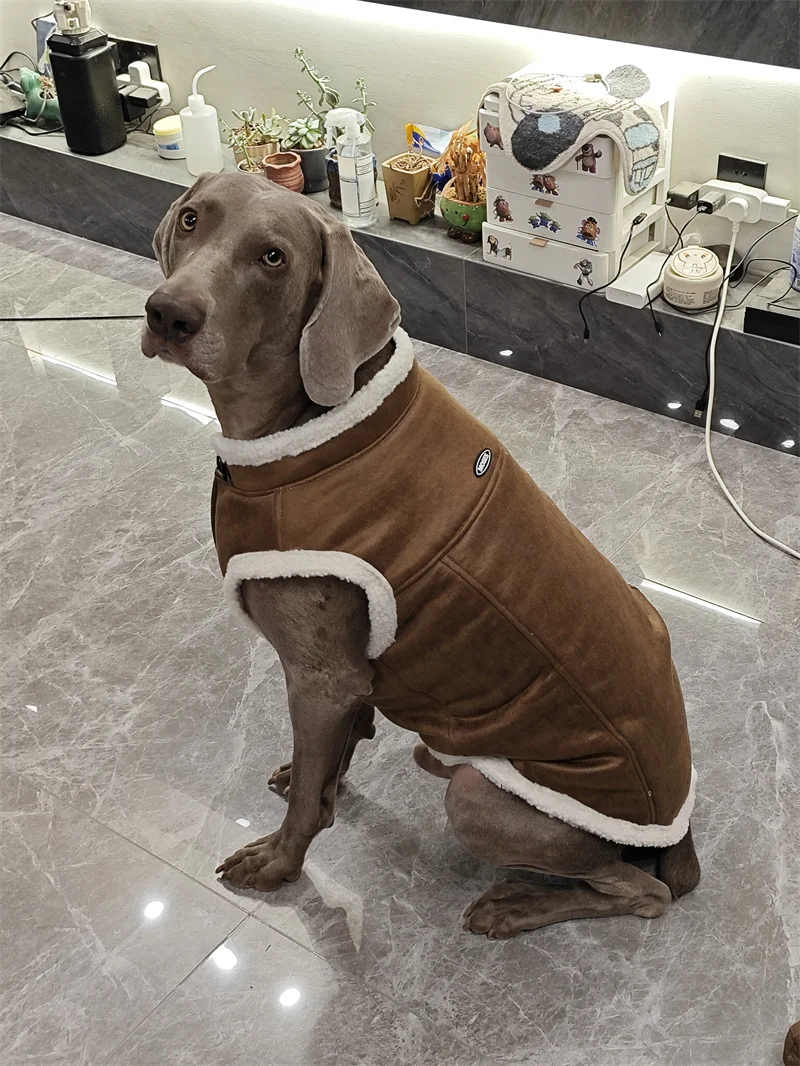 

Зимний жилет для больших собак, пальто, куртка, одежда для больших домашних животных, лабрадор самоед, золотистый ретривер, бордер-колли, хаски, одежда для домашних животных