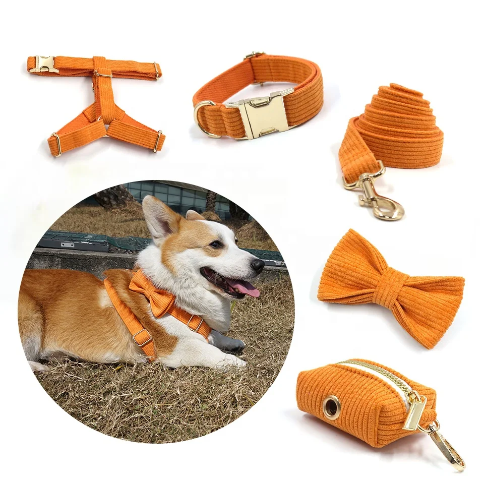 

2024 New Productos Summer Dog Bowtie Sunshine Orange Pet Leashes and Collar Set Set Padded Strap Leads Dog Vest Harness for Dogs