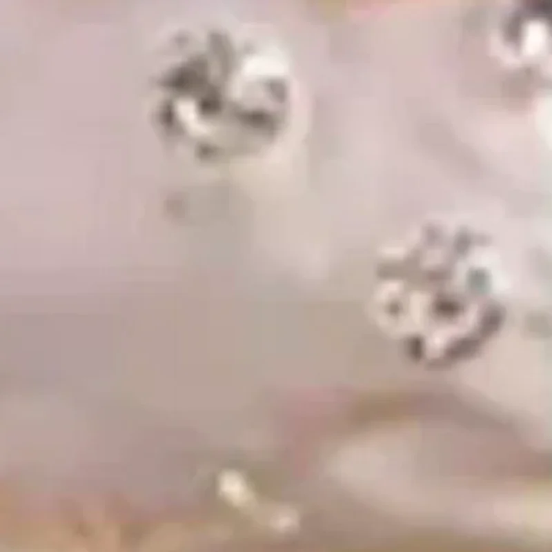 1 قطعة صندوق مجوهرات على شكل بومة من حجر الراين الملون ، صندوق صغير من المينا ، صندوق تخزين رائع لسطح المكتب لتخزين المجوهرات