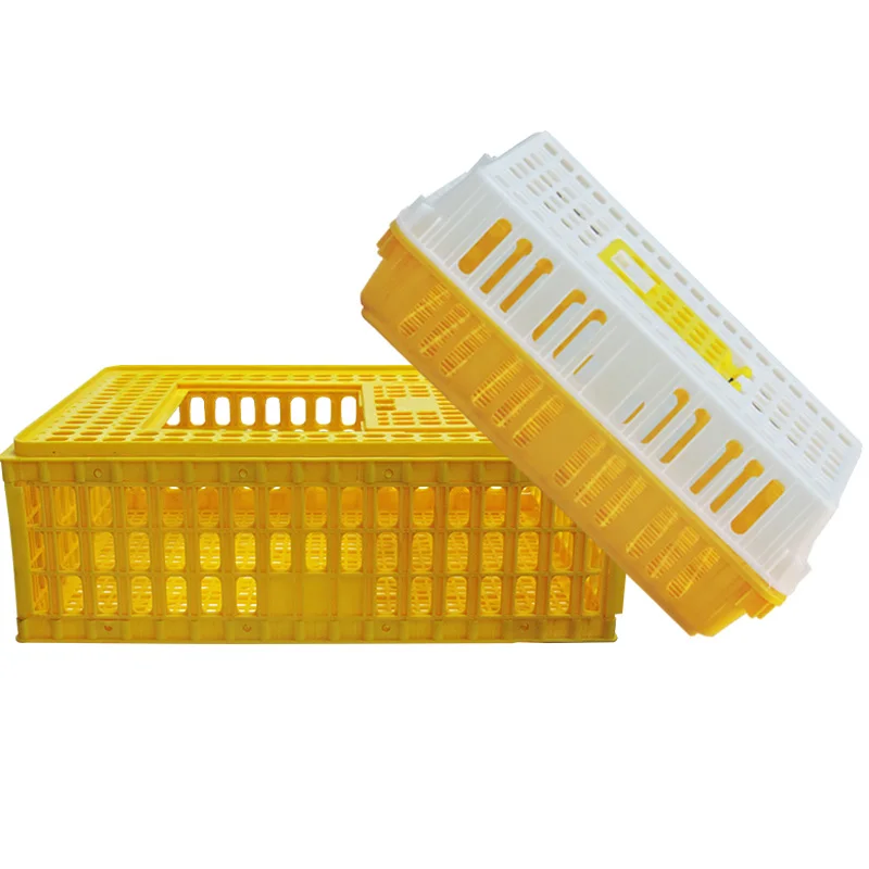 

Crates Plastic Transport Cage for Chicken Cages for Sale Polutry Farming Chicken Cages