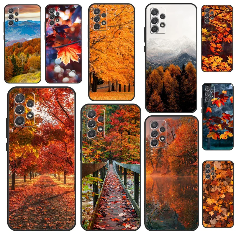Autumn Leaves Funda…