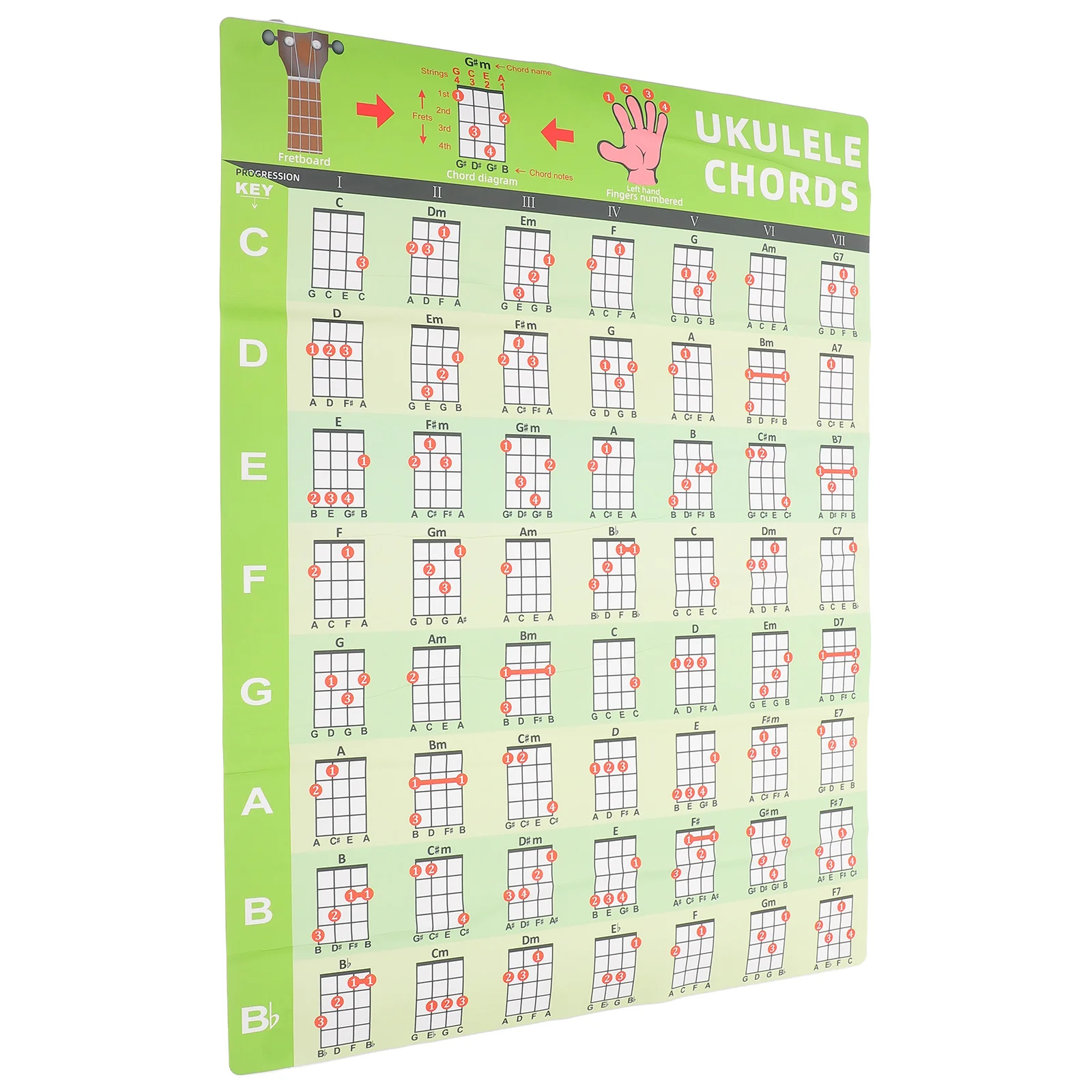 Ukulele Chord Chart Sticker Pvc Waterproof Wall Decal For Beginner Learning Reference Musical Instrument Accessories