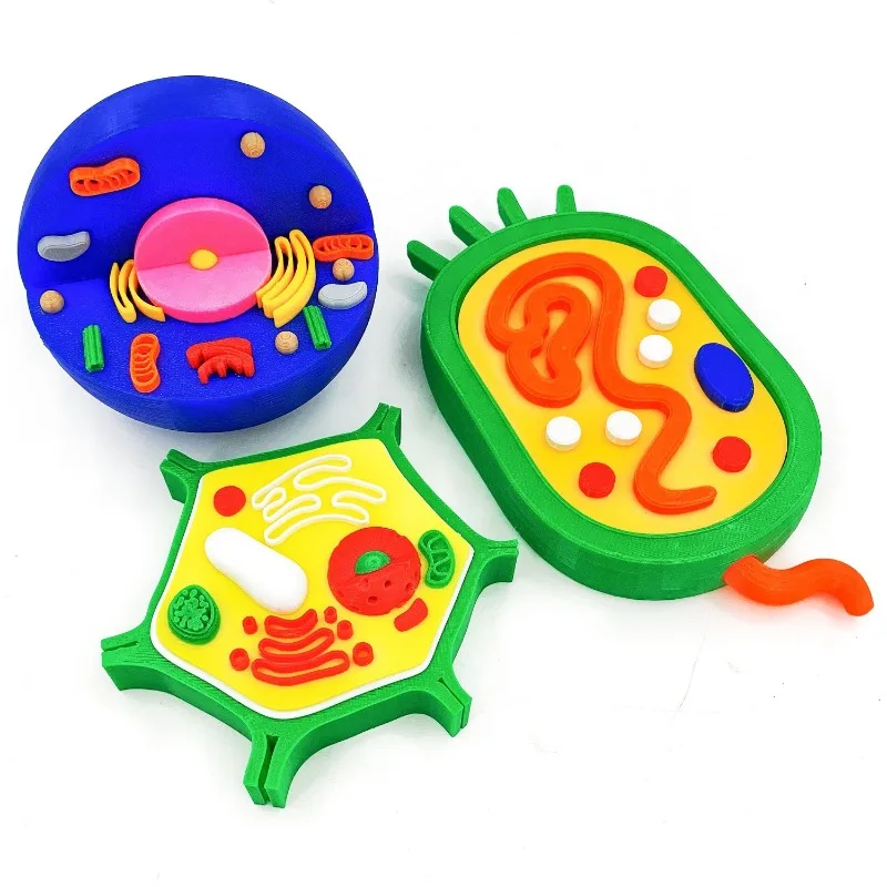 3D Printed Animal & Plant Cell Model Science Experiment Set Intellectual Development Educational Learning Toy for Students