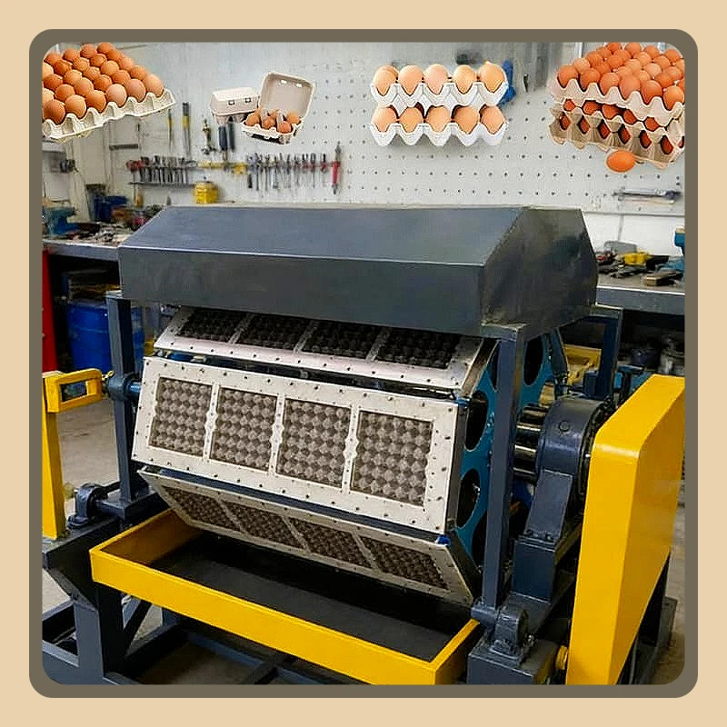 Egg Tray Forming Machine Egg Carton Production Line Waste Paper Recycling System Packaging Fruit Tray Industrial Manufacturing