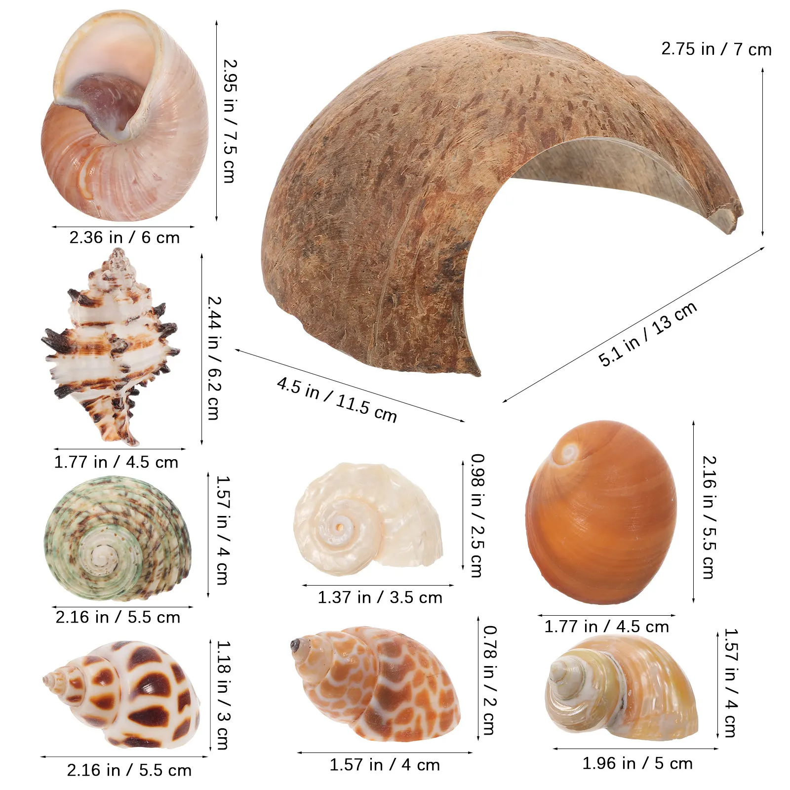 1Set Hermit Crab Hideout Sturdy Coconut Shell Shelter Semi Circular Reptile Hide Turtle Rest Hut Aquarium Decoration