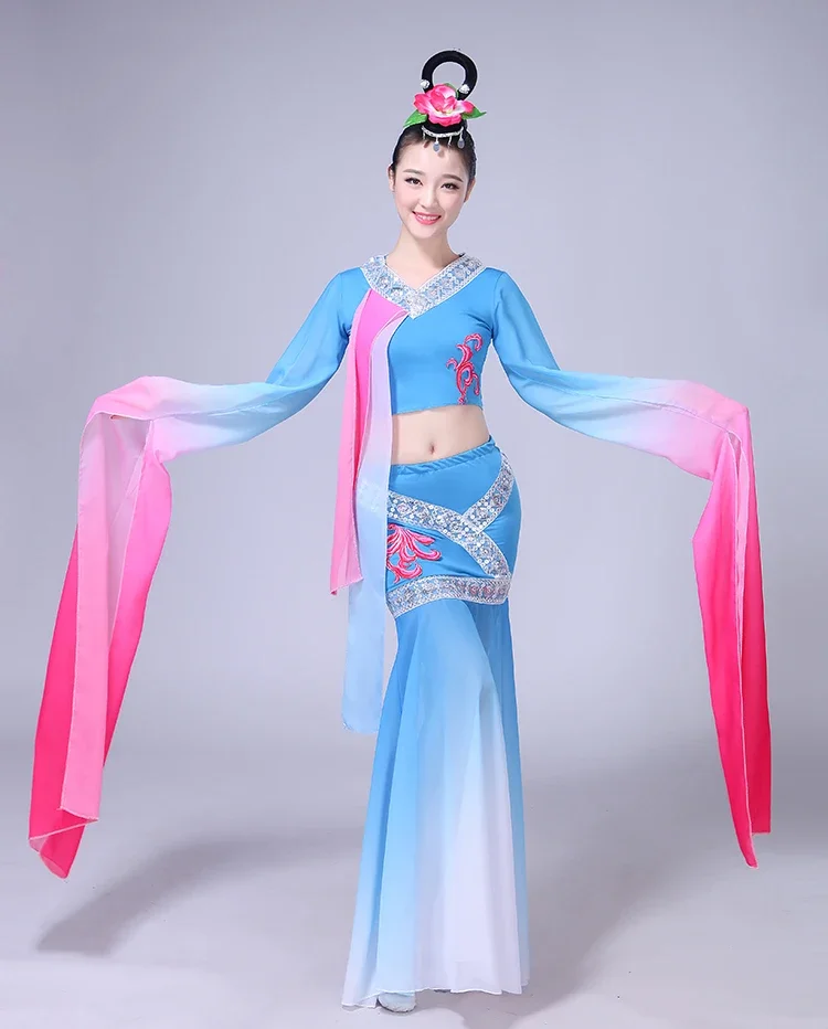 Classical Water Sleeves Ethnic Dance Yangko Clothing Tradition Chinese Folk Dance Elegant Hanfu Dress Mining Wei Dance Costumes