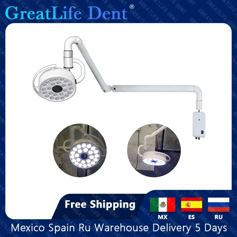 GreatLife Dental Wall-mounted 24Leds Lamp Oral Light For Dentistry Clinic Operation Shadowless Surgical Led Lamp With Sensor