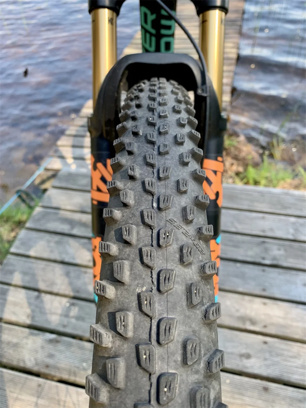 SCHWALBE RACING RAY 29x2.25in Performance TLR ADDIX MTB BICYCLE TIRE TUBELESS MOUNTAIN Folding Tyre