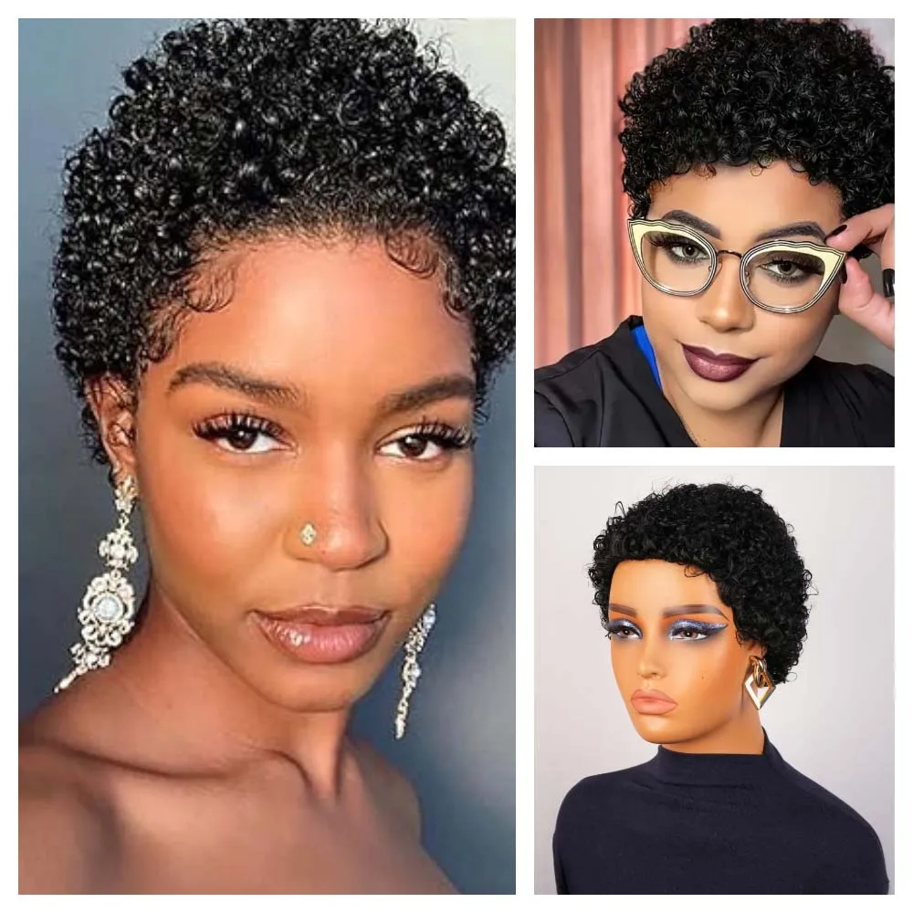 Pixie Cut Curly Hum… - image