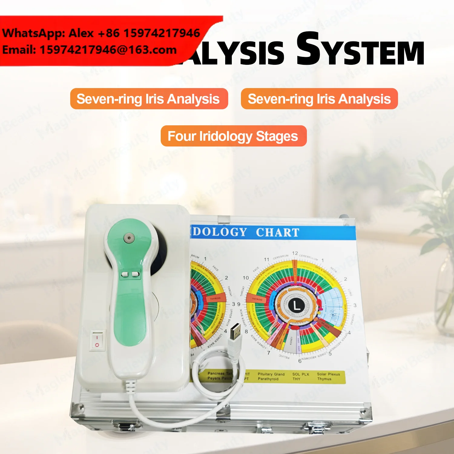 New Model Iris Analysis Machine Eyes Health Detection Digital Iriscope Iridology Camera CE Certified Body Health Scanner Device