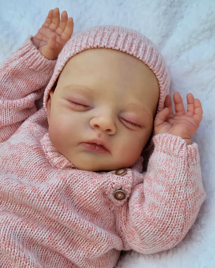 NPK 19 Inch Lifelike Reborn Dolls - Hand Painted Hair Lily & Irys Twins Soft Cloth Body Cuddly Newborn Baby Dolls