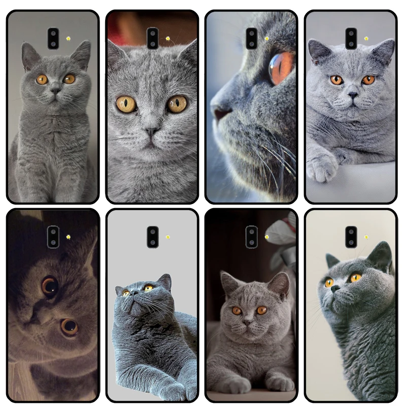 British Shorthair Cat Cover For Samsung Galaxy J4 J6 2018 A7 A9 A6 A8 Plus J8 J3 J5 J7 2017 J1 A5 A3 2016 Case