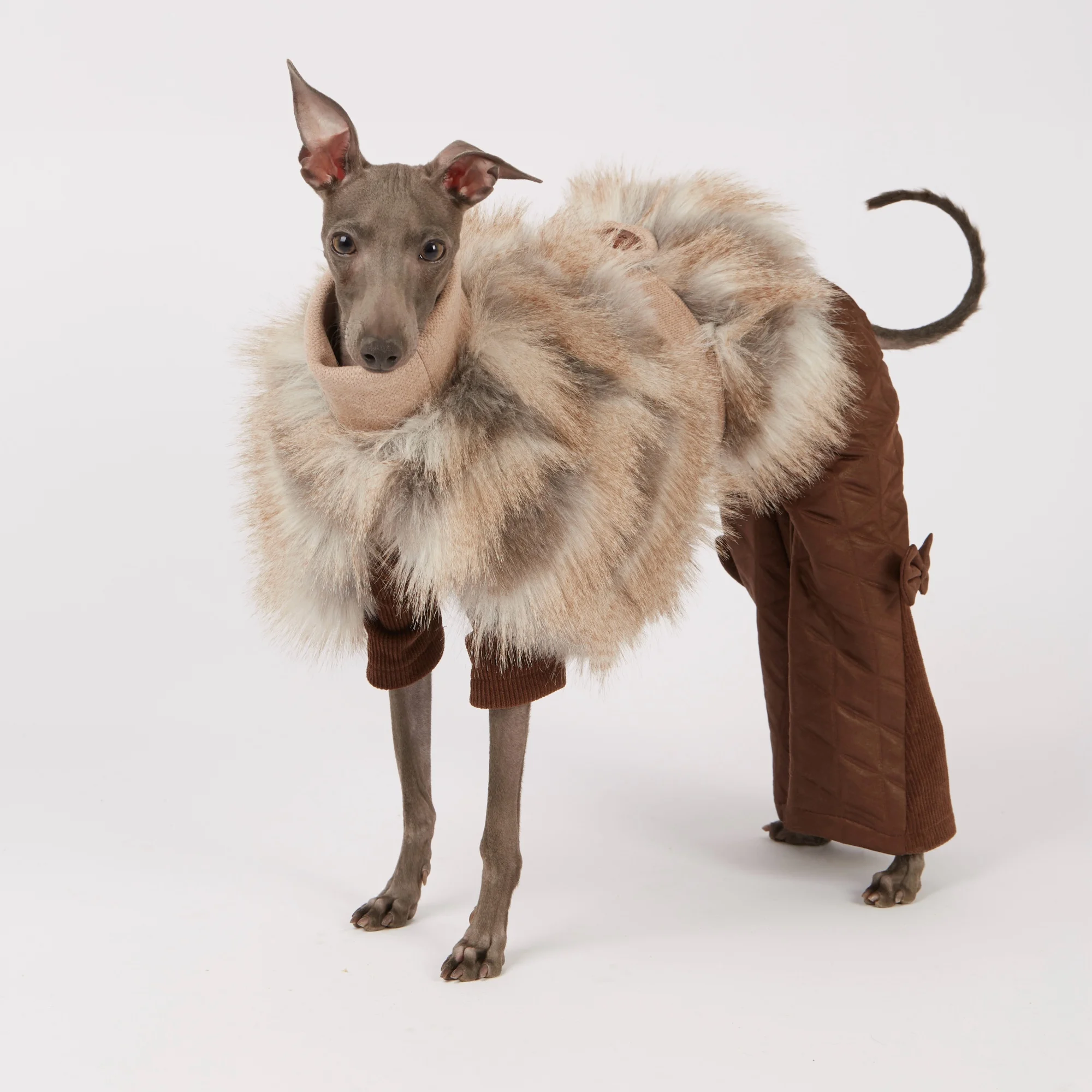 

Элегантная теплая серая плюшевая накидка для собак, зимний свитер цвета хаки для итальянского борзая, пальто с регулируемым поясом для уиппета