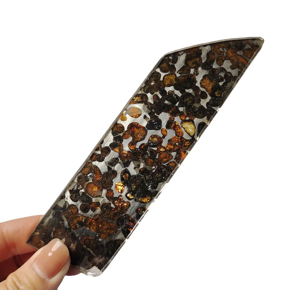 

57.2g Sericho Pallastie meteorite slice Olivine Meteorite Natural Specimen Meteorite material Collection - from Kenya -QA421