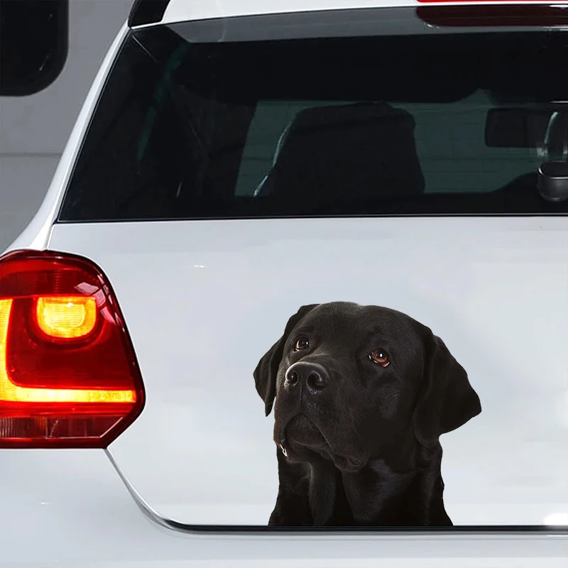 

Car Sticker Labrador Dog Waterproof Vinyl Decal Car Accessories Decor Pegatinas Para Coche #V1356