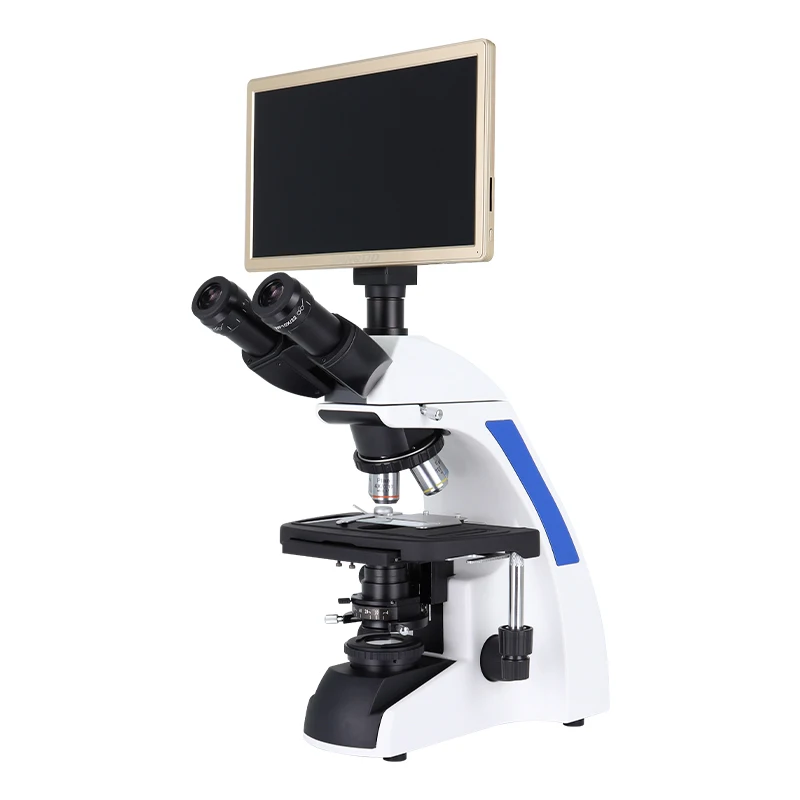 1920 * 1080 Camera Microscope Trinocular Biological Limited Distance Microscope 40X 1000X Lab Microscope for Sale