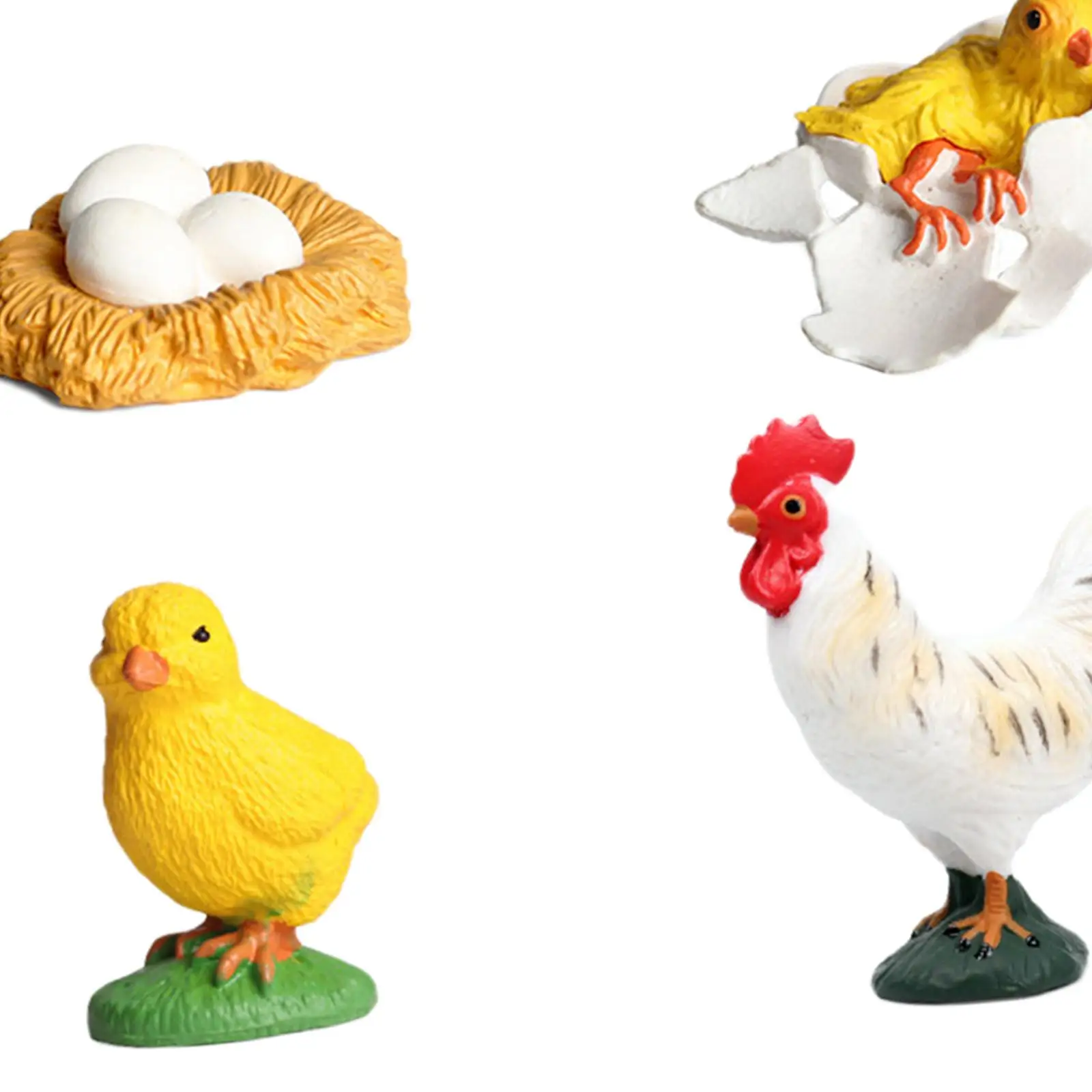 Rooster Life Cycle Set,Teaching Aids Classroom,Animal Life Growth Cycle Figure,Animals Figurine Toy,Simulation Animal for Boy