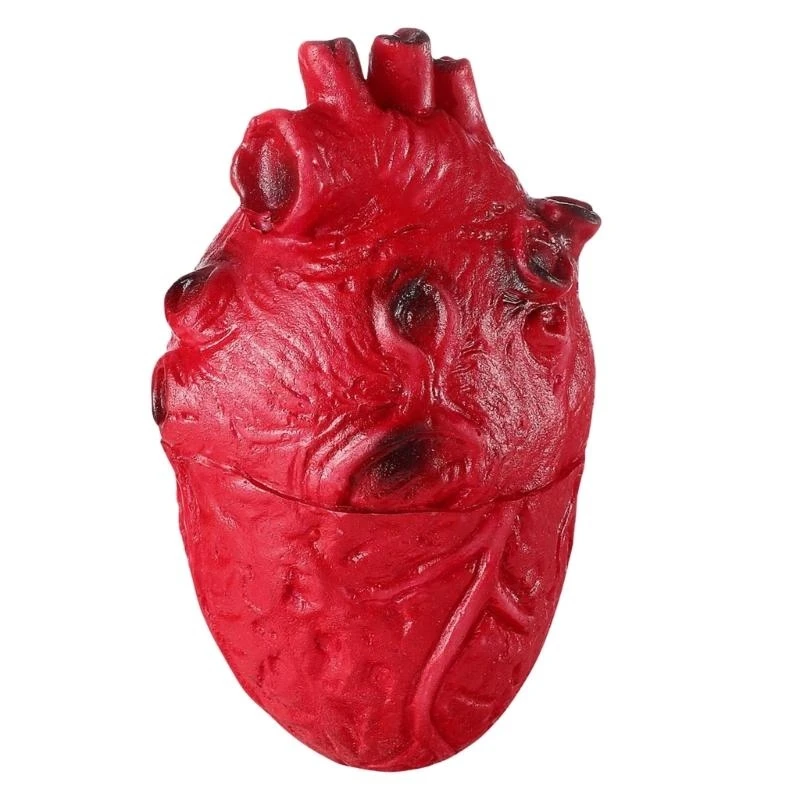 Scary Simulated Heart for Halloween Party and Horror Props Realistic Body Decoration Frightening Body Part Ornament