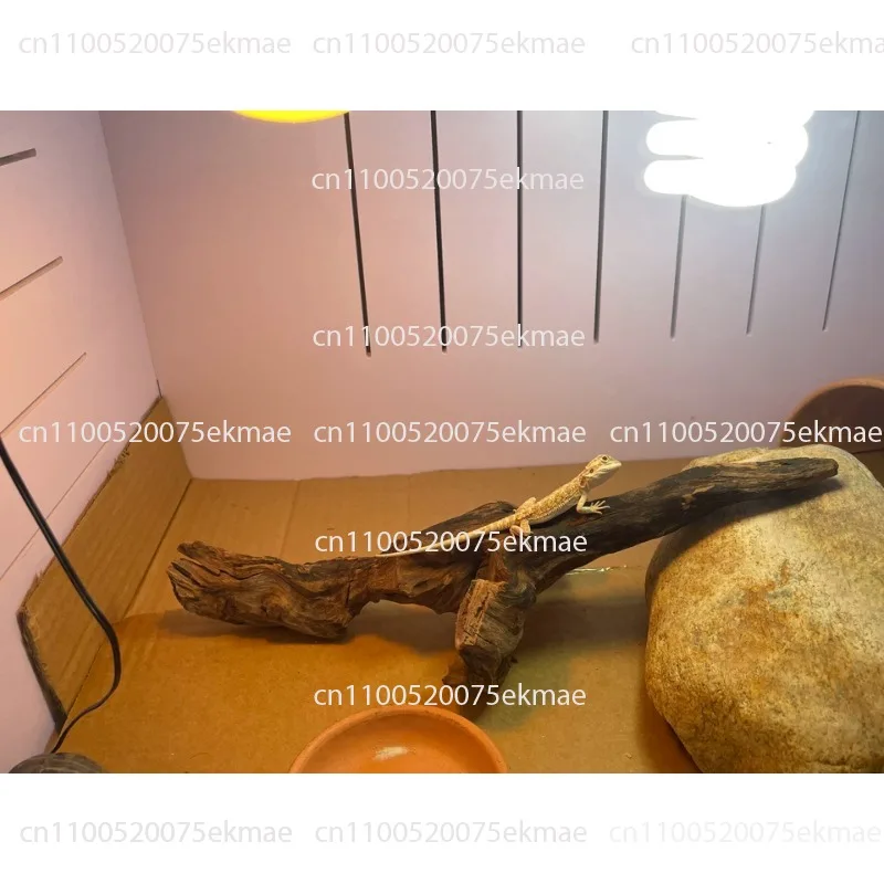 Reptile Habitat Terrarium Automatic Brooder Warm Box for Turtle Lizard Snake Pets Temperature Control