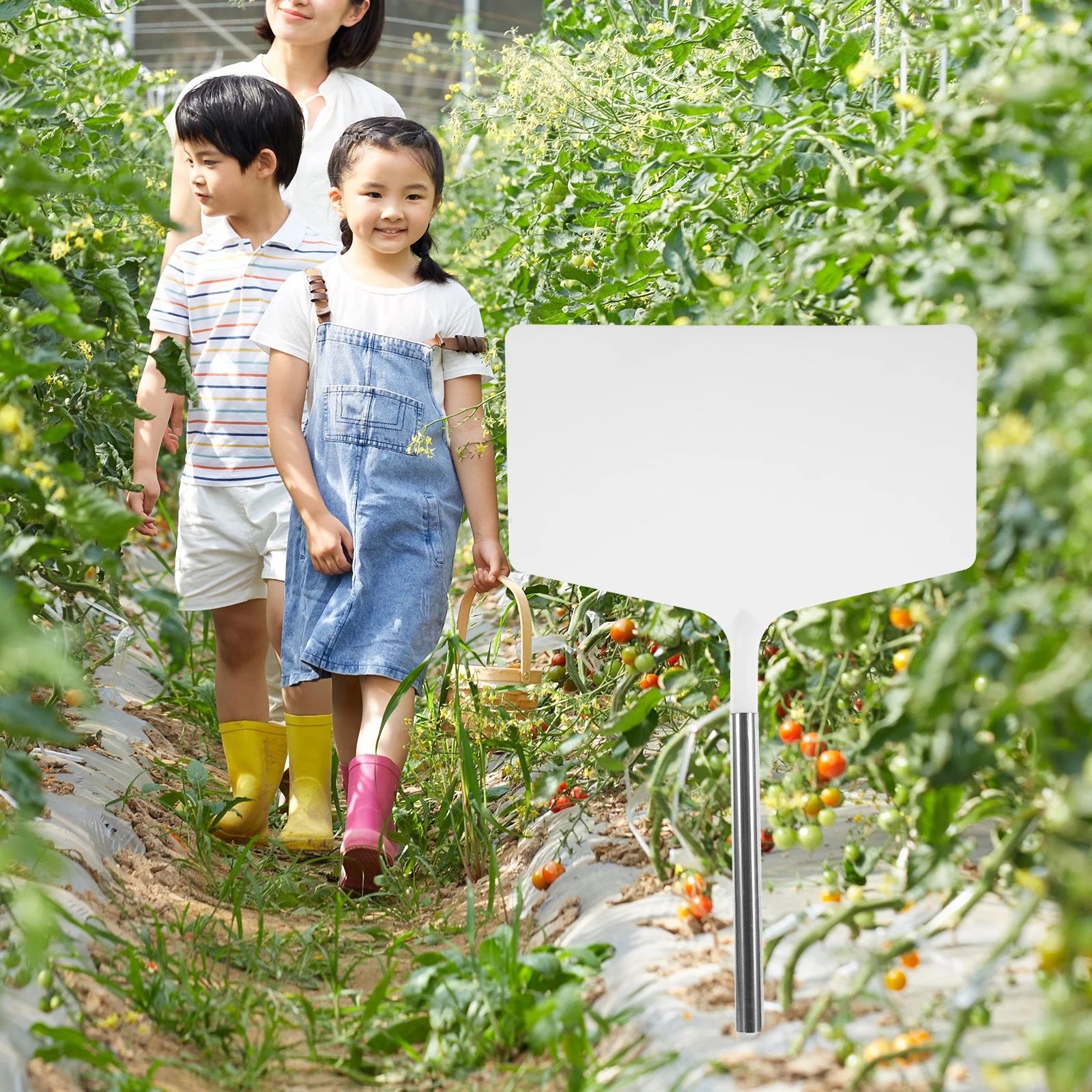 

Plastic Plant Tags Modern Design Durable Easy to Use for Gardening Art Farming Gifts Garden Signs for Vegetables