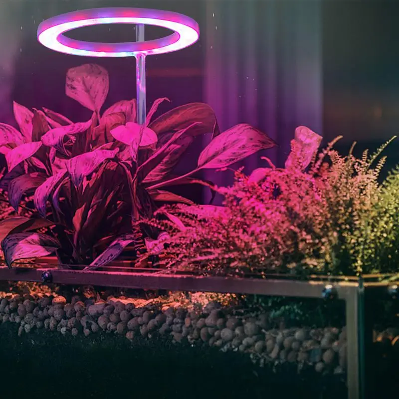 링 LED 식물 성장 조명, 실내 화분 LED 성장 램프, 다육 탁상용 수경재배 LED