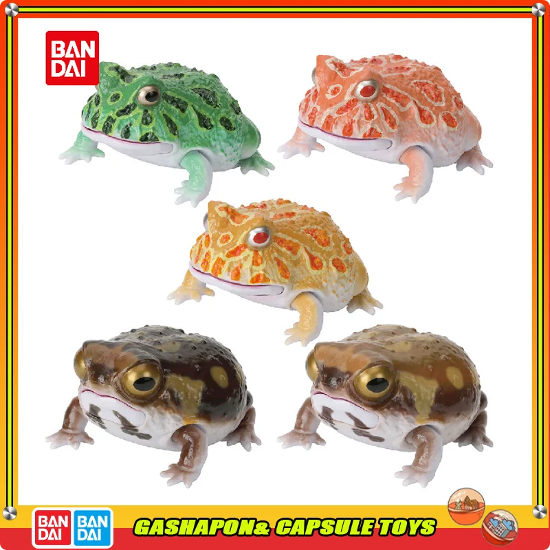 

BANDAI Biological Encyclopedia Action Figures Model Horned Frog with Scattered Warts Short Headed Frog Mantou Frog Gashapon