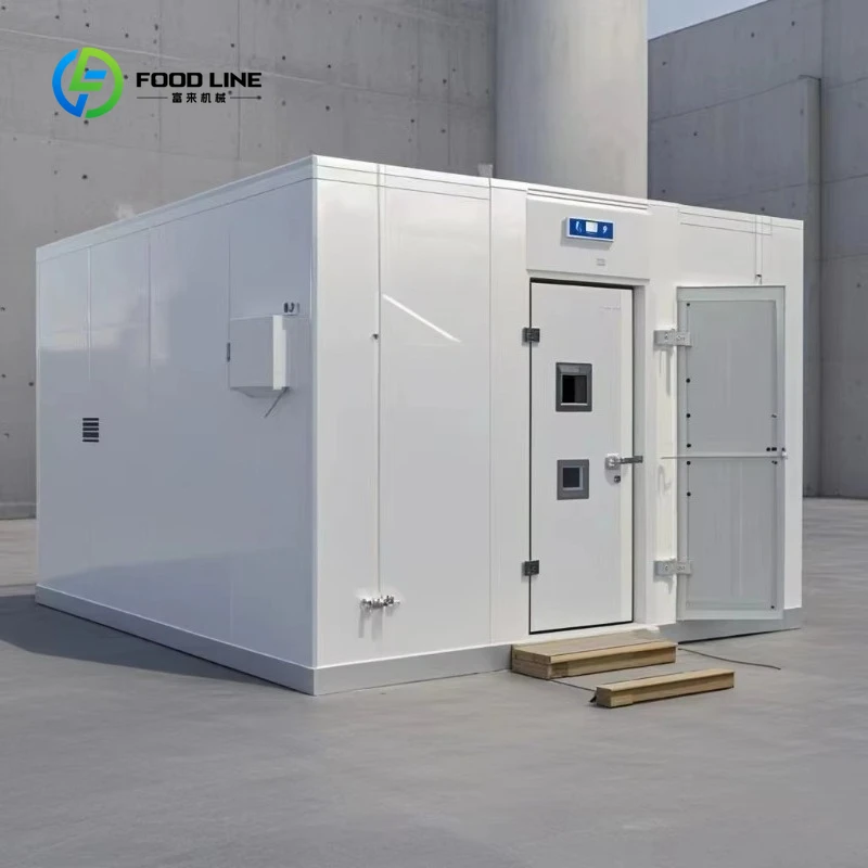 Chambre de stockage au froid de petite taille personnalisée Chambre froide réfrigérée pour la viande et les fruits de mer