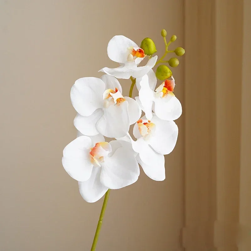 5 Köpfe, einzelner Stiel, realistische Phalaenopsis – 3D-Seiden-Schmetterlingsorchidee für Wohnzimmer, Event-Dekoration, Geschenk | Künstliche Blume – Detail 3