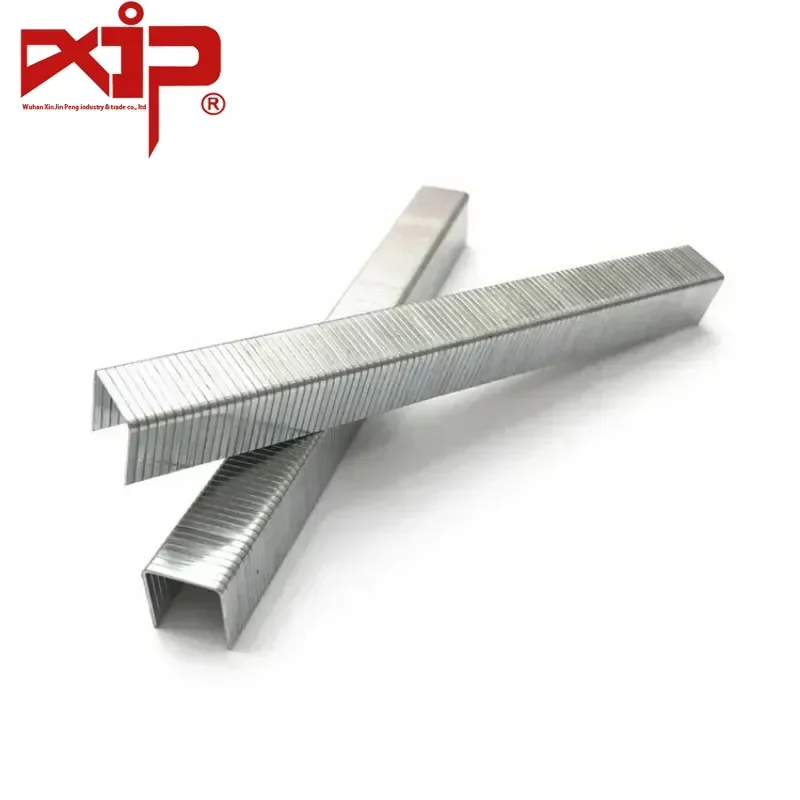 22mm 1022J  Series Industry Staples Professional Furniture Staple Decorative Staples for Wooden Packing Furniture