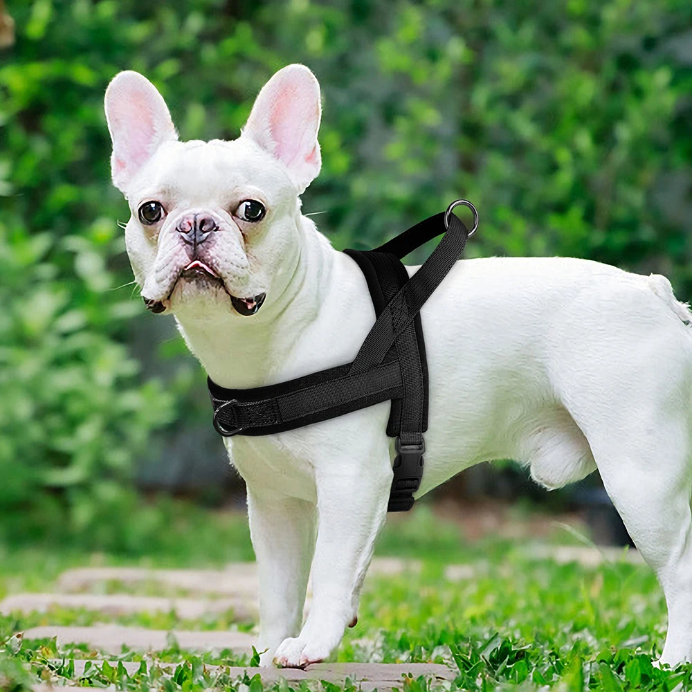 Weiches, nicht ziehendes Geschirr für kleine und mittelgroße Hunde, Nylon, Pitbull-Hunde-Welpengeschirr, gepolsterte Haustierweste, verstellbar für kleine Hunde, Chihuahua, Mops – Detail 15