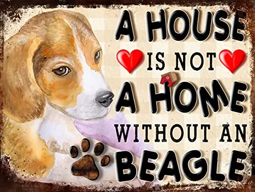 1e,A House is Not A Home Without A Beagle Wall Poster Tin Sign Vintage BBQ Restaurant Dinner Room Cafe Shop Decor-tin sign
