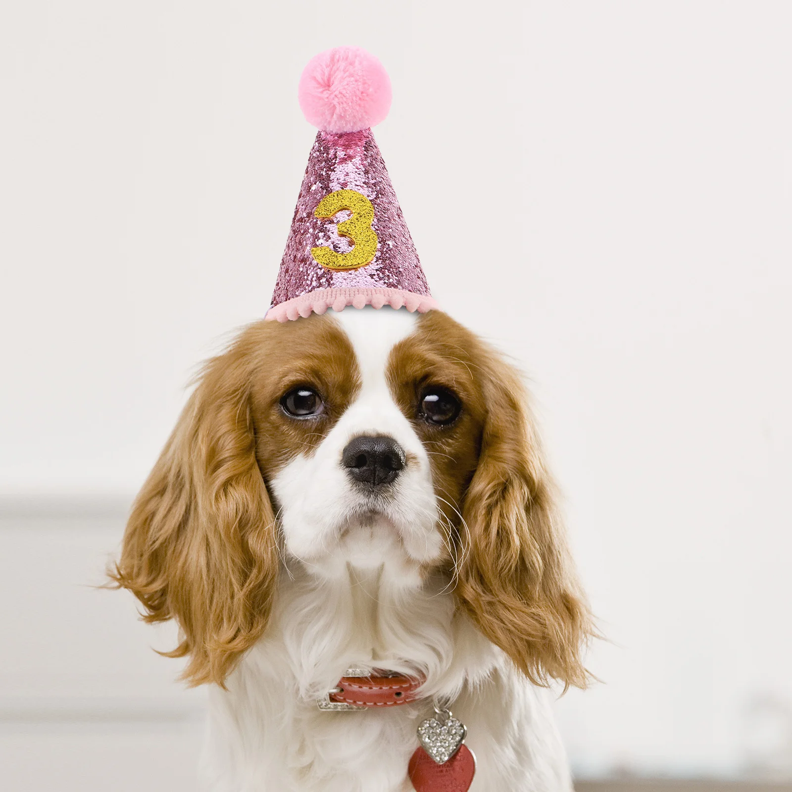 

Pet Birthday Decoration Set Small Dog Cat Party Hats Comfortable Lightweight Cone Hat Happy Birthday Decor Dog Party Hat