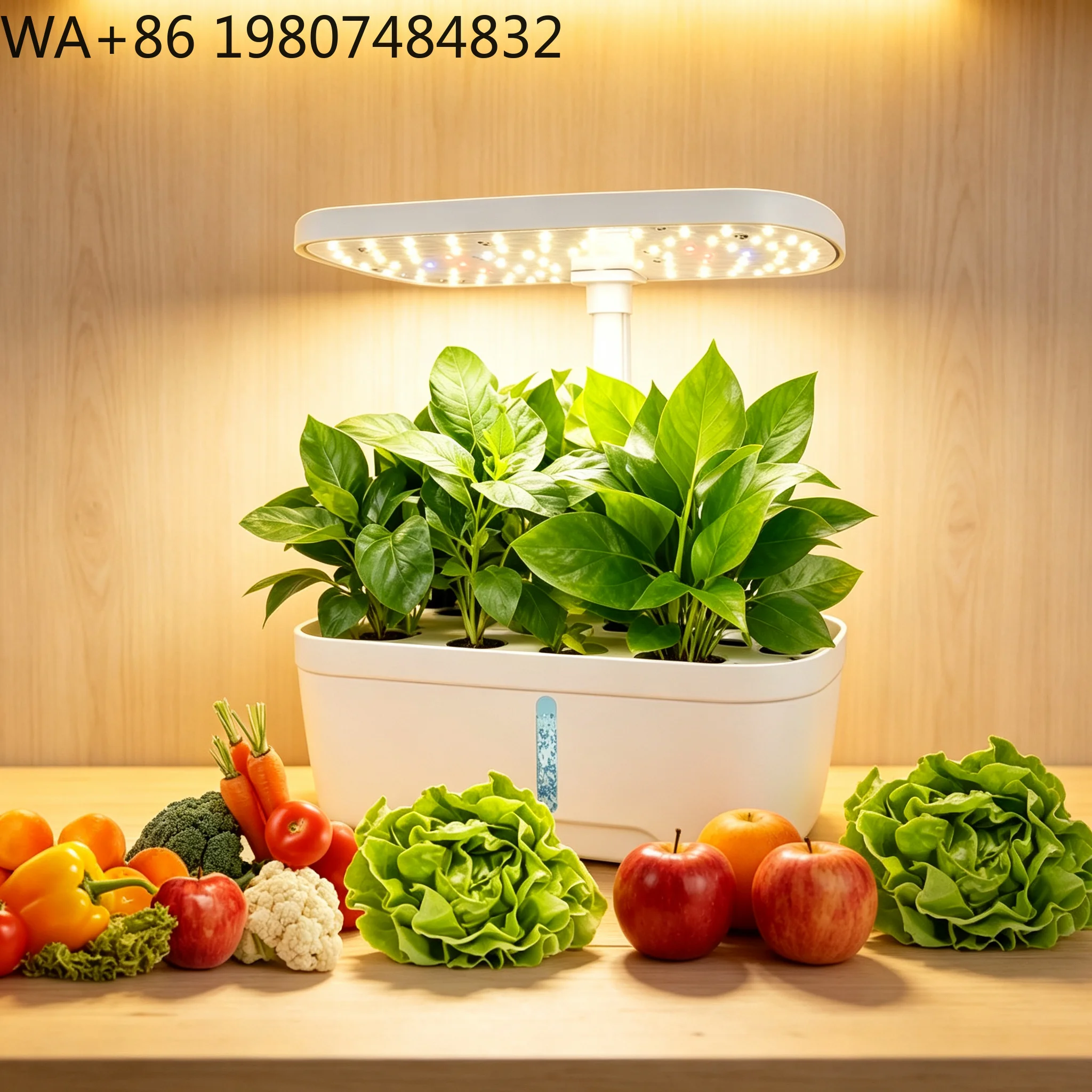 12 Bölmeli Topraksız Yetiştirm - Hydroponic Grow Pod incelemesi ve fiyatı