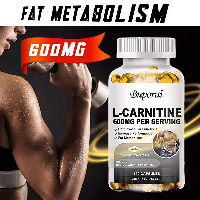 

L-карнитиновые капсулы — повышающие энергию, повышают память, улучшают концентрацию, повышают здоровье сердечно-сосудистой системы и когнитивные способности