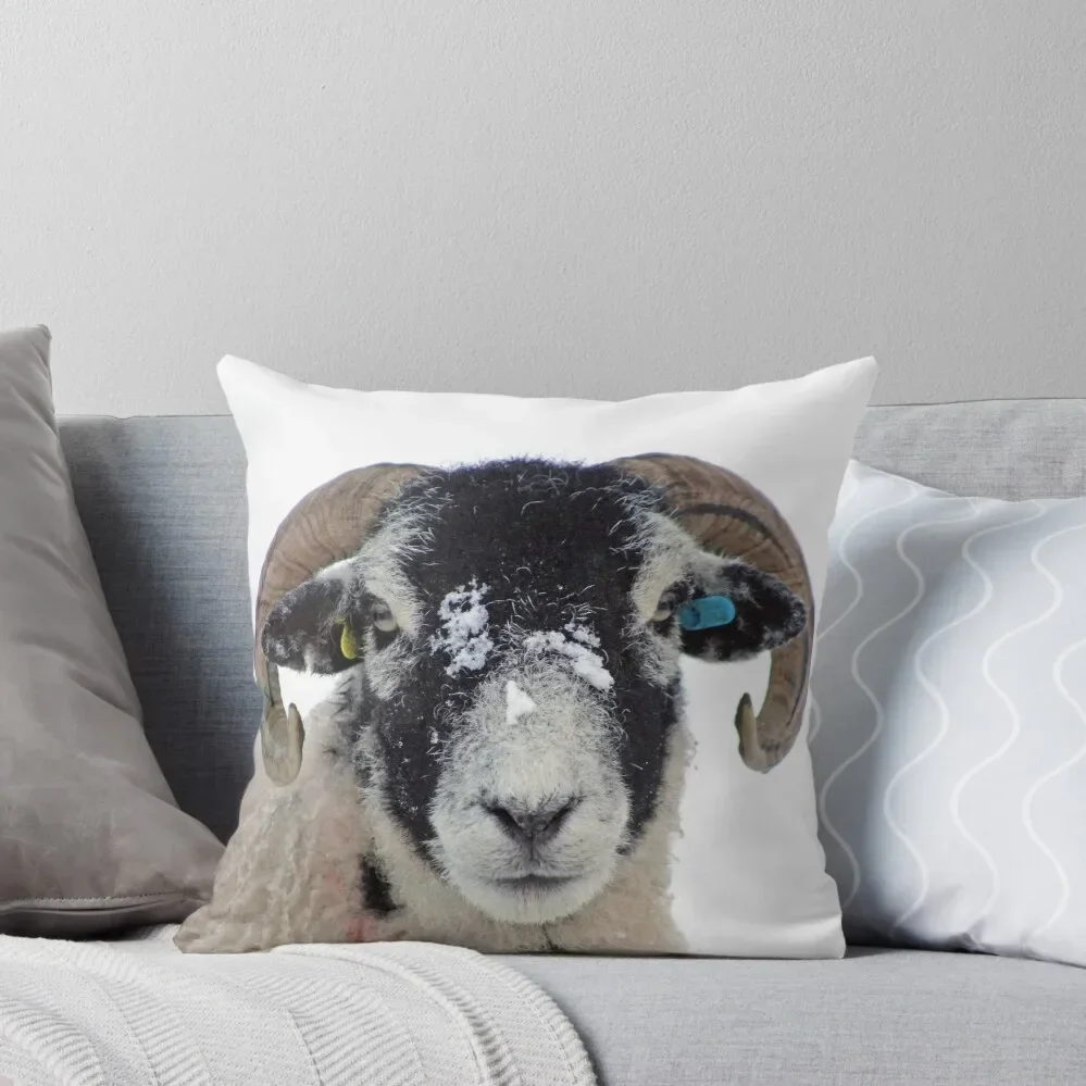 Swaledale Ewe in Snow Throw Pillow christmas pillowcases Pillow Cases Decorative Sofa Cushions Cover pillow cover luxury