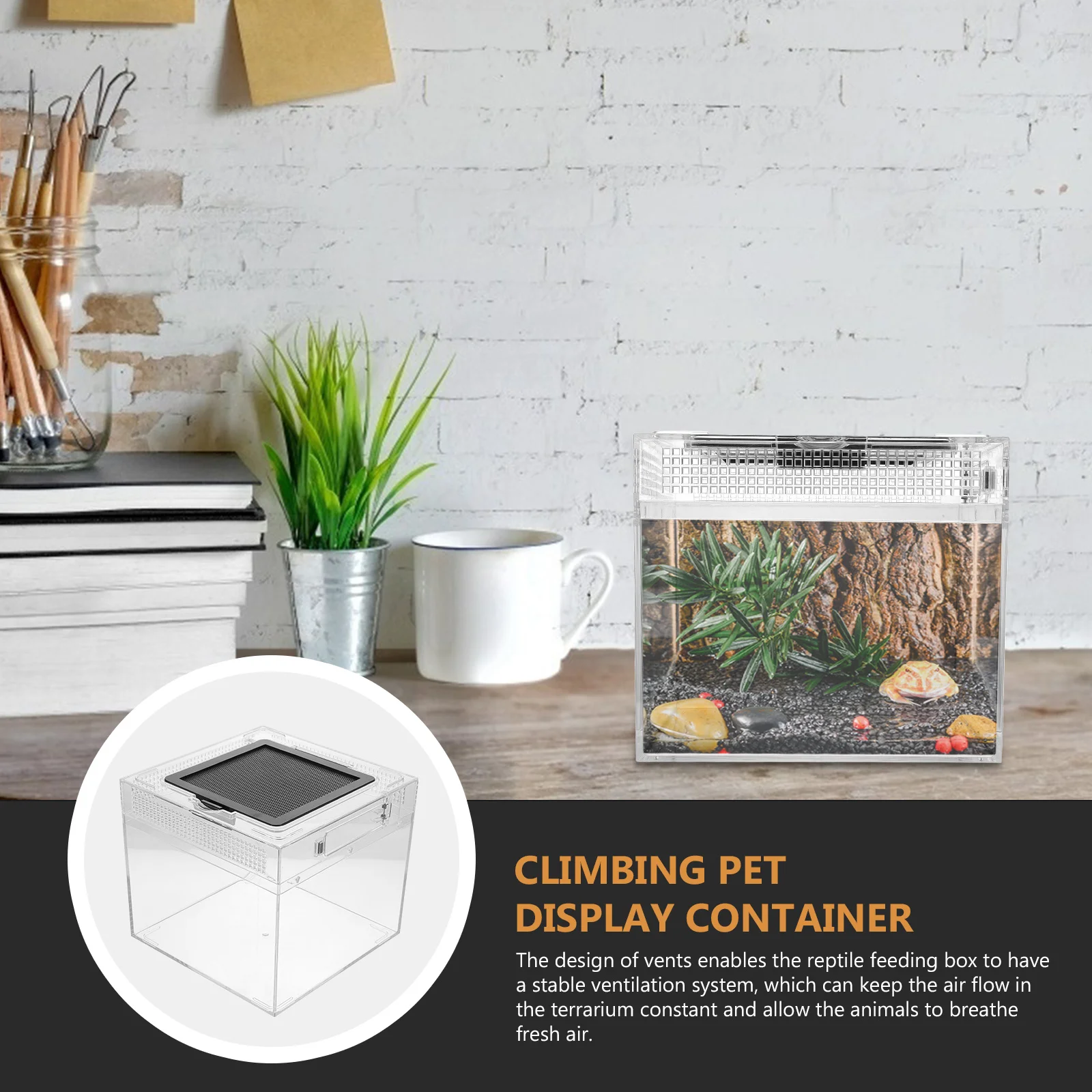 

1Pcs Reptile Feeding Box Transparent Medium Size Durable Pc Material Breeding Container Suitable for Snakes Spiders Hermit Crabs