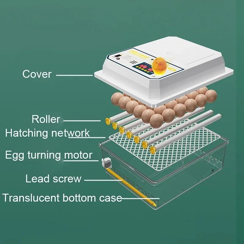 Farm Poultry Fully Automatic Turning Egg Incubator Dual-Electric Mini Household Brooder for Chicken Goose Duck Bird 16 Eggs 220V