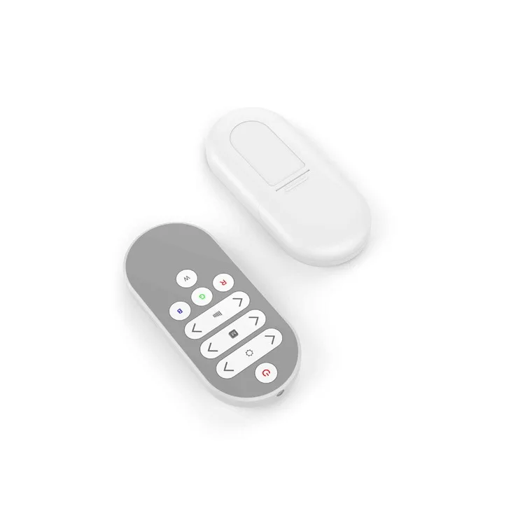 

Design and Development of LED Dimming and Coloring Device RGB RGB WWW Light Strip Controller OEM ODM Label Customization