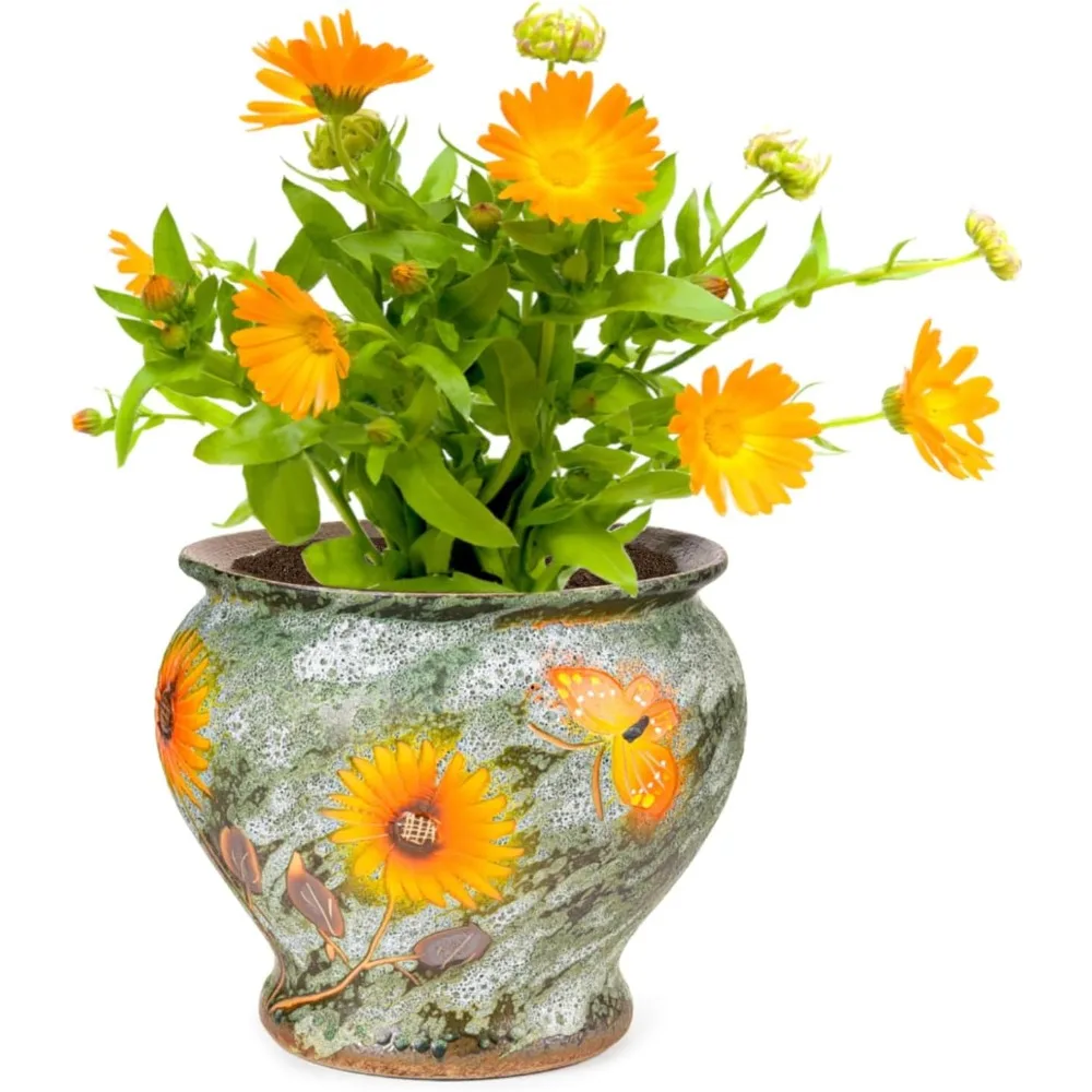 

Ceramic hand painted succulent flower pot, 9 inch large clay pot for indoor and outdoor plants