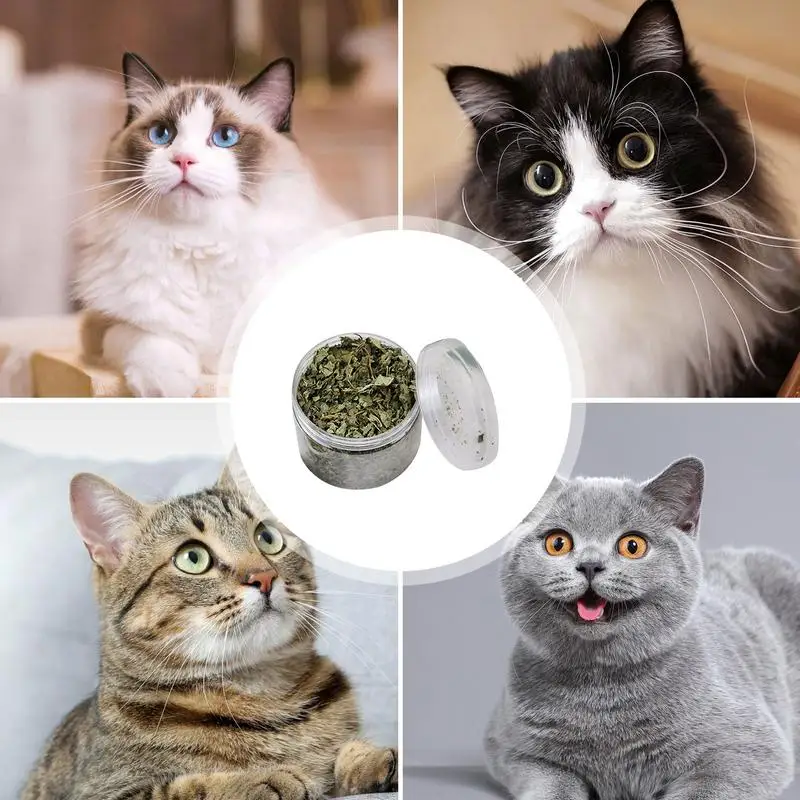 Cat Toy Organic Catnip 100 High-quality Natural Cat Grass Leaf Single Cans Interesting Cat Toy Interactive Snacks Natural