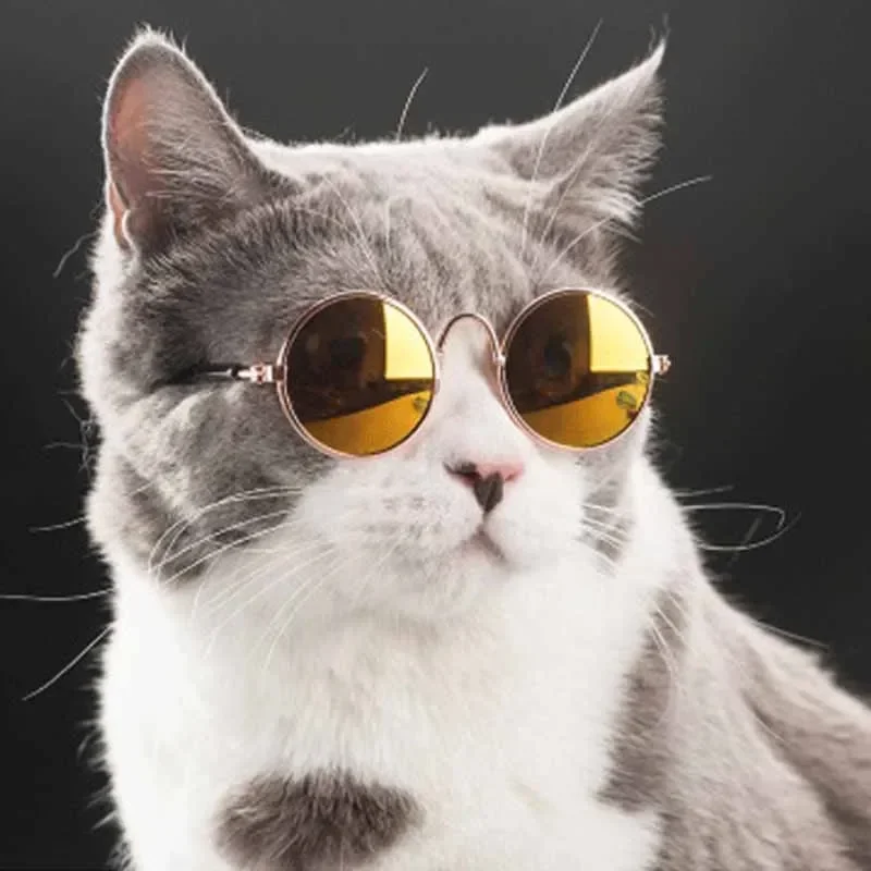 Lentes engraçadas para gatinhos, óculos coloridos para cães e gatos, produtos legais, artigos para animais, sol, adereços fotográficos, acessórios