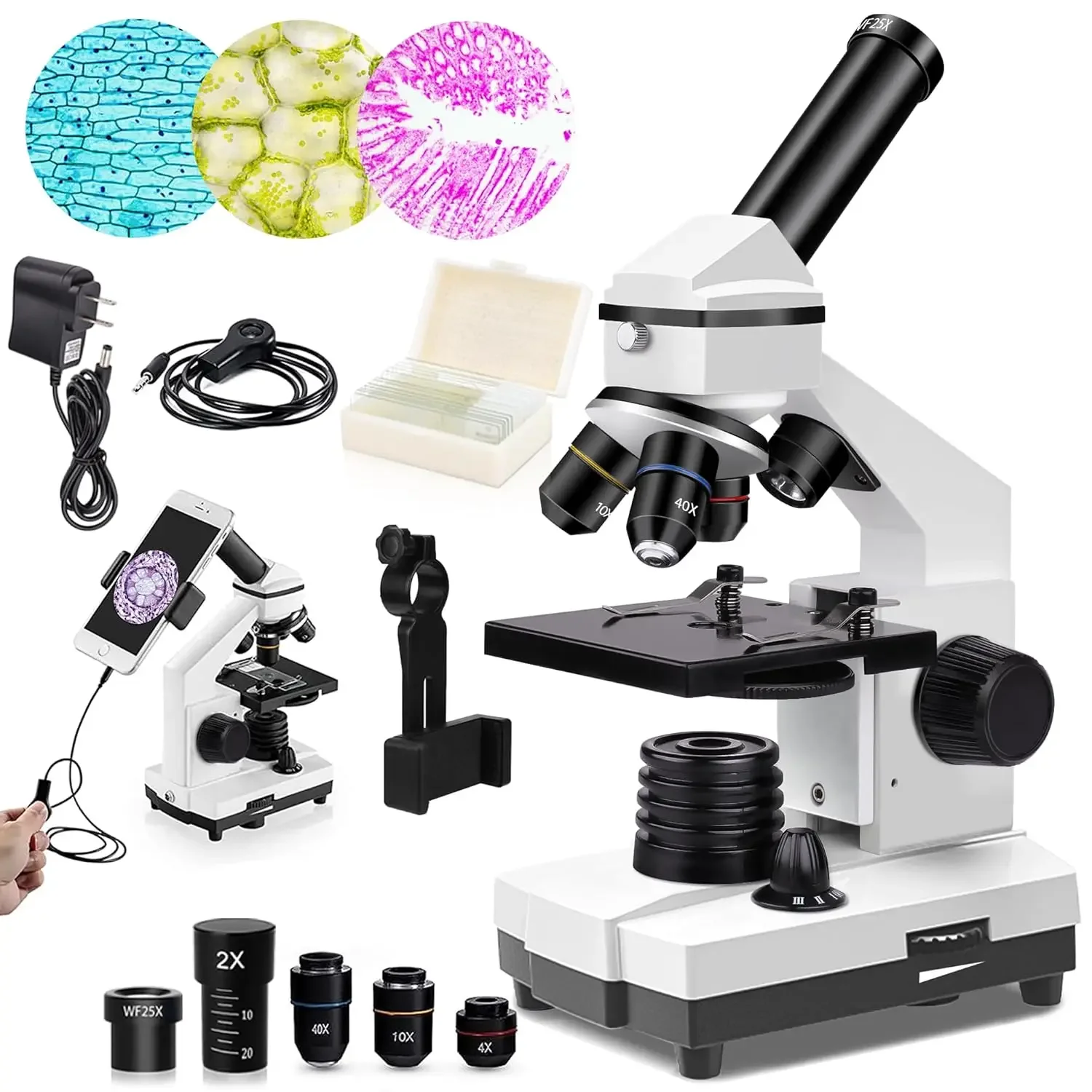 Microscope Powerful Biological Microscopes for School Laboratory Home Education,100X-2000X Microscopes for Kids Student