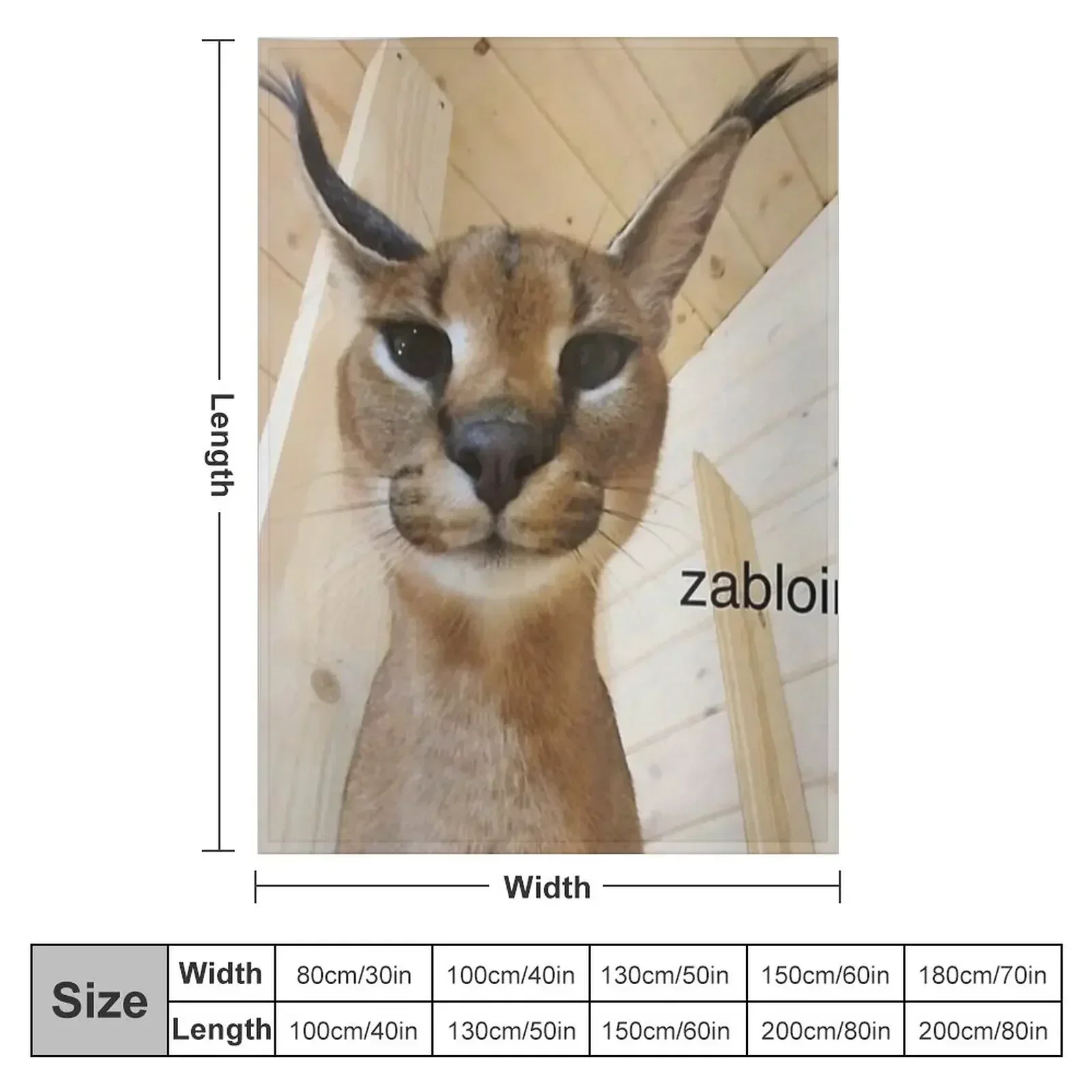 zabloing Throw Blanket Summer halloween warm winter Beautifuls Blankets