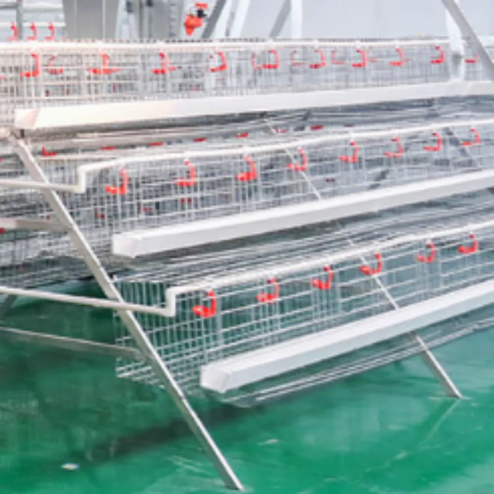 A-Type Layer Chicken Cage Battery Cages Manual,Semi/Fully Automation with Feeding ,drinking System for Laying Hens Poultry Farm