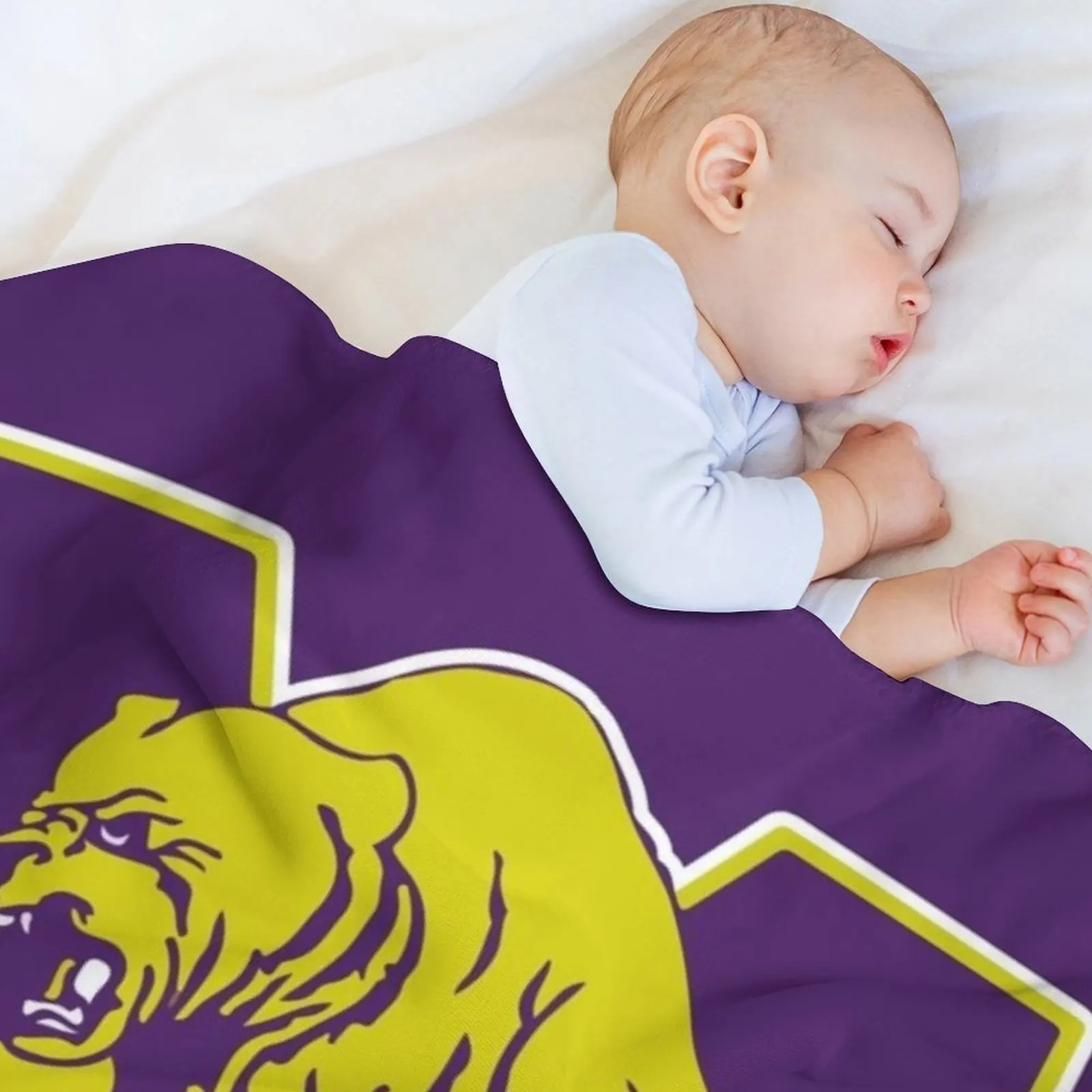 Miles College Throw Blanket For Baby Cute Bed Fashionable blankets ands Soft Plaid Softest Blankets 3