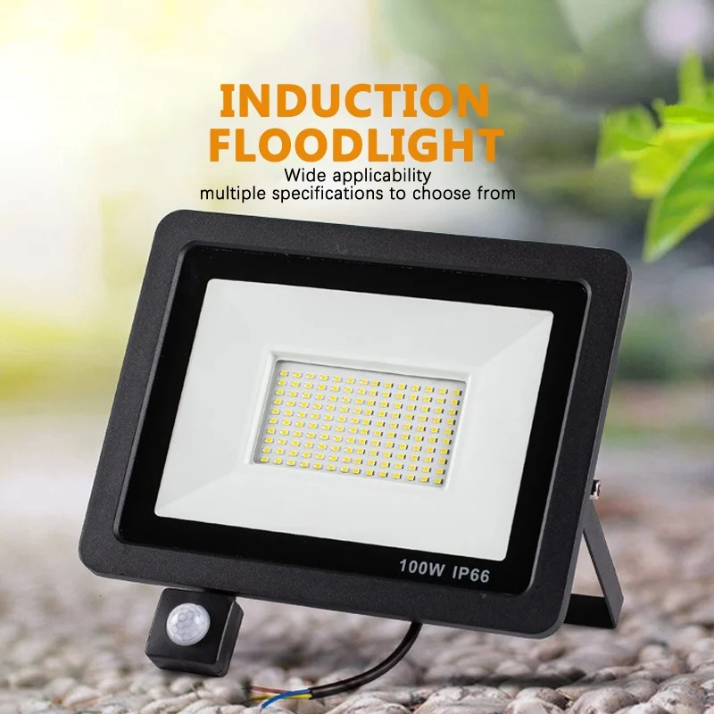 Outdoor  Spotlight Motion Detector LED Floodlight220V 100W 50W 30W 20W IP66 Underground Light Warehouse Garden Decorative Lamp