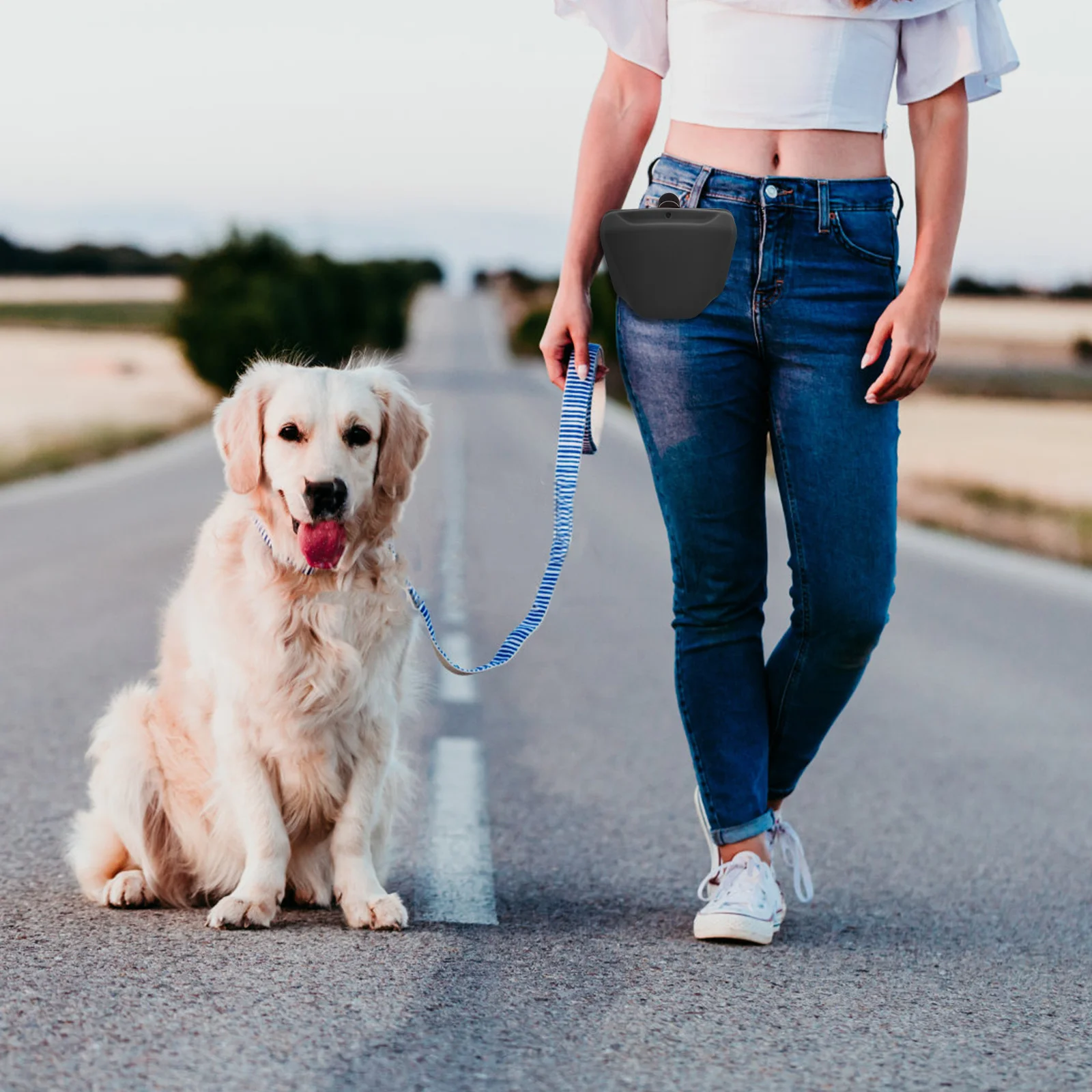 حقيبة تدريب متينة للحيوانات الأليفة من السيليكون بدون رائحة، مادة صحية مرنة وسهلة الجفاف، تصميم خصر معلق، وجبة خفيفة مريحة للكلاب