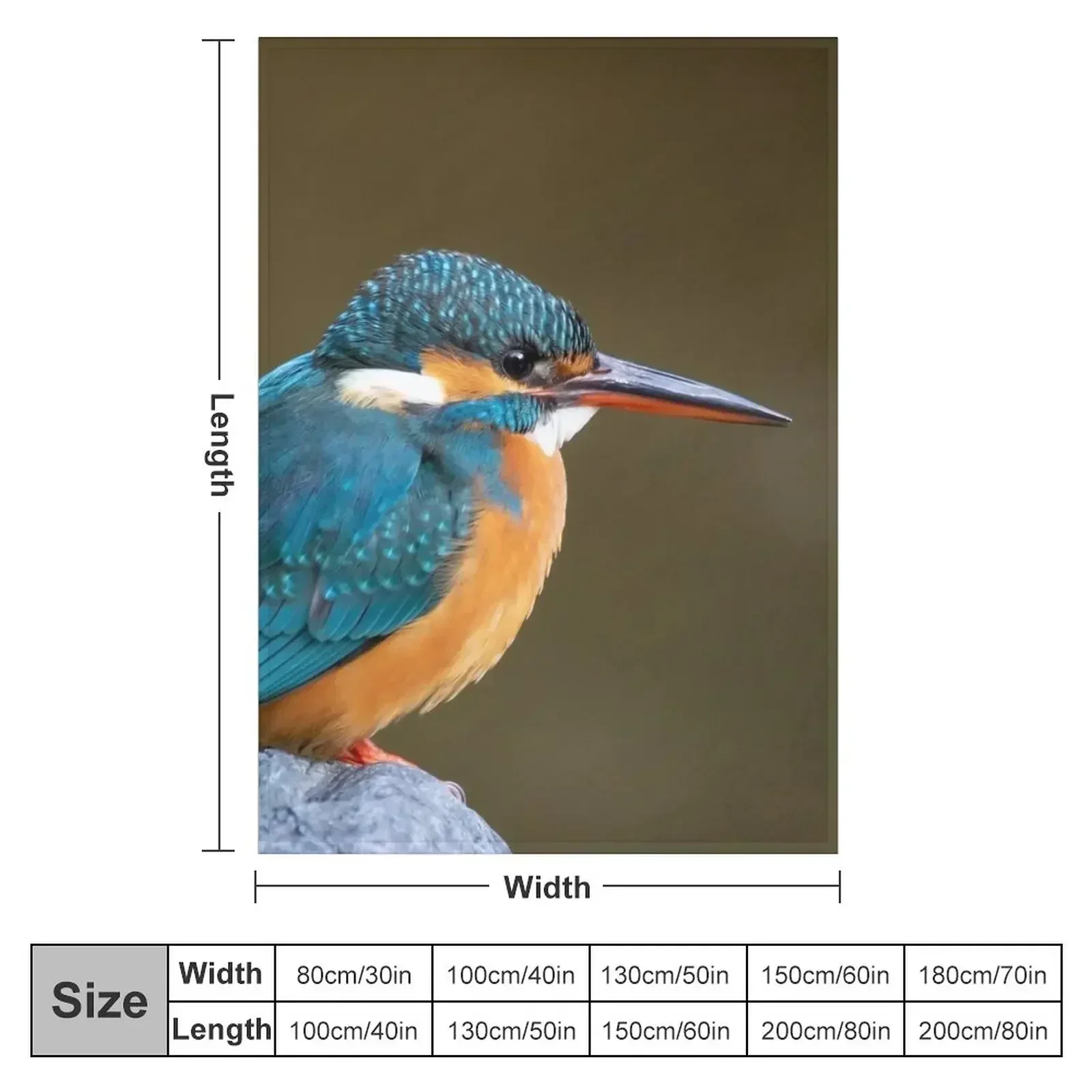 Common Kingfisher in Japan Throw Blanket couch cozy soft plush fuzzy picnic outdoor blanket