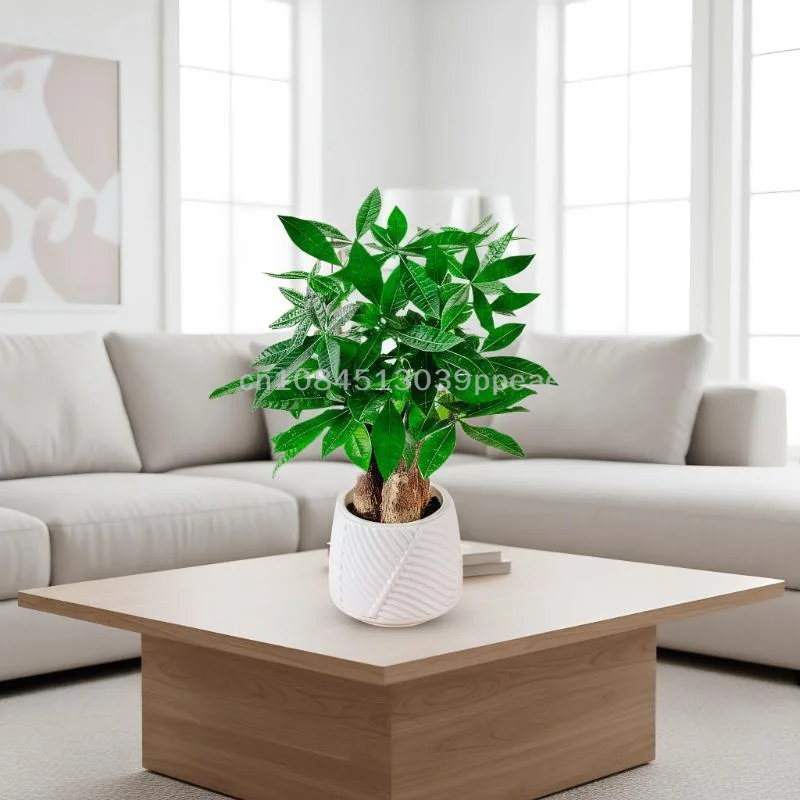 Mini Selbst Bewässerung Blumentopf Aquarium Transparente Kunststoff Blumentöpfe Selbst Bewässerung Pflanzer Topf Vase Für Home Dekoration